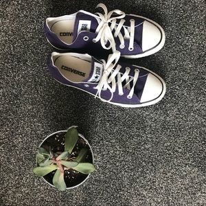 Women’s size 7 converse